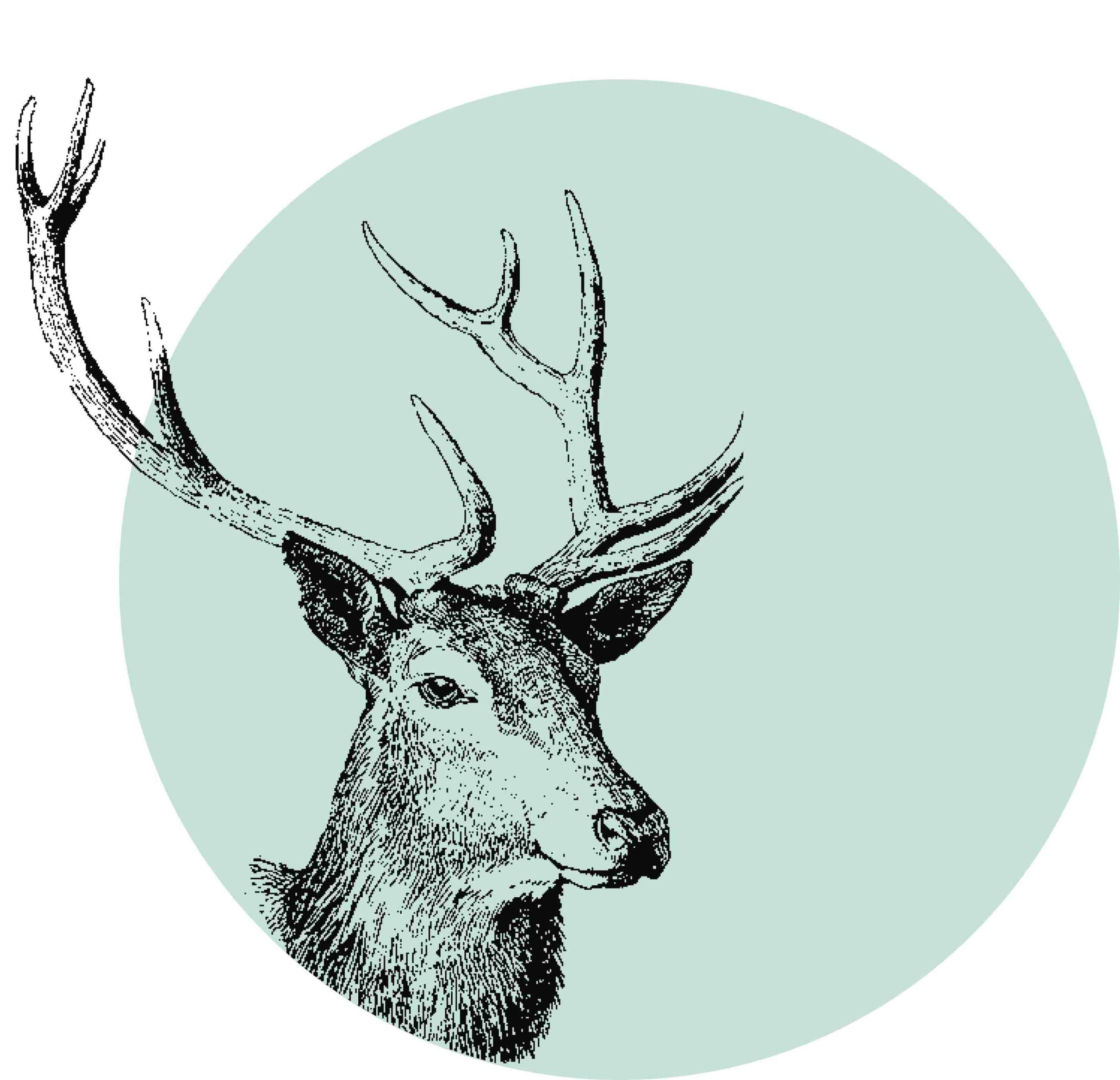 My-adventcalendar.com Announces The Top UK Advent Calendar Categories of 2023