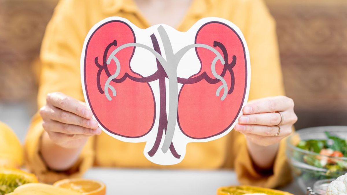 What diet is best for the kidney? Eat these foods to maintain your kidney health