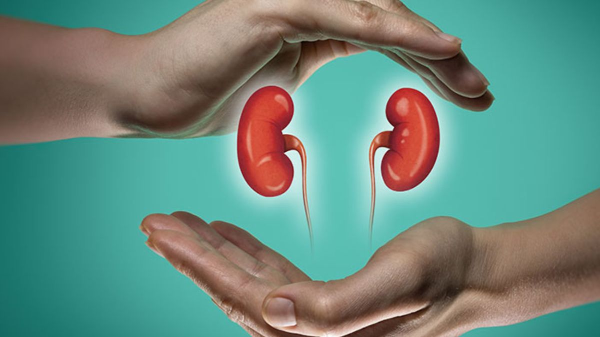 Want healthy kidneys? Remove these food items from your diet immediately