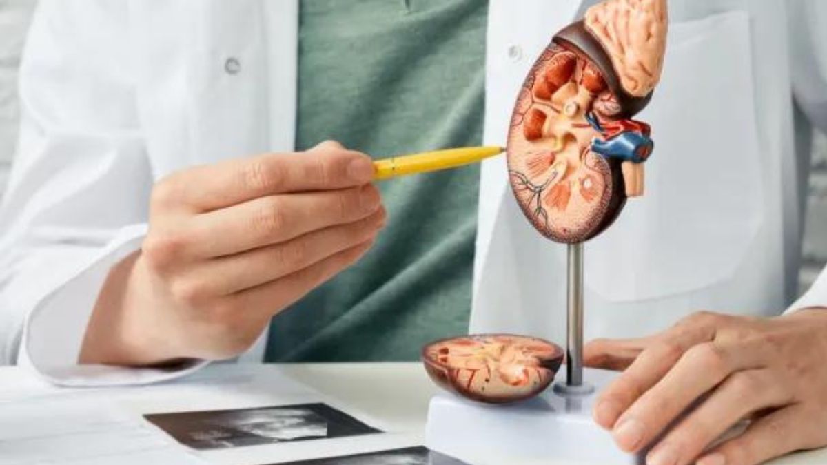 5 common habits that may harm your kidneys