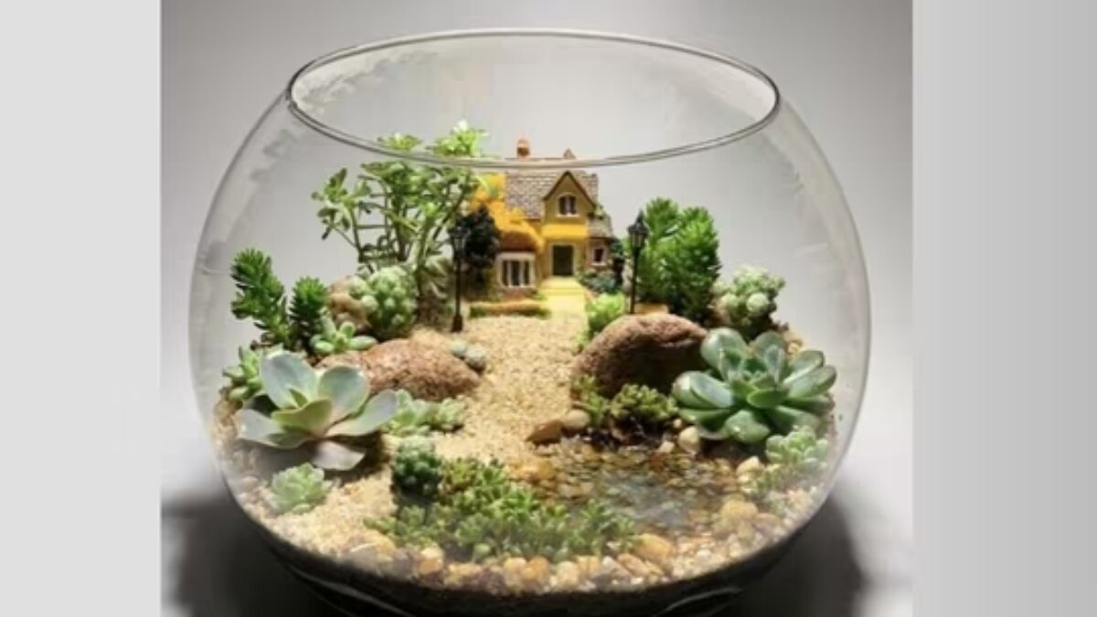 Easy pocket-friendly tips to build zen garden in your living space for the aesthetic charm