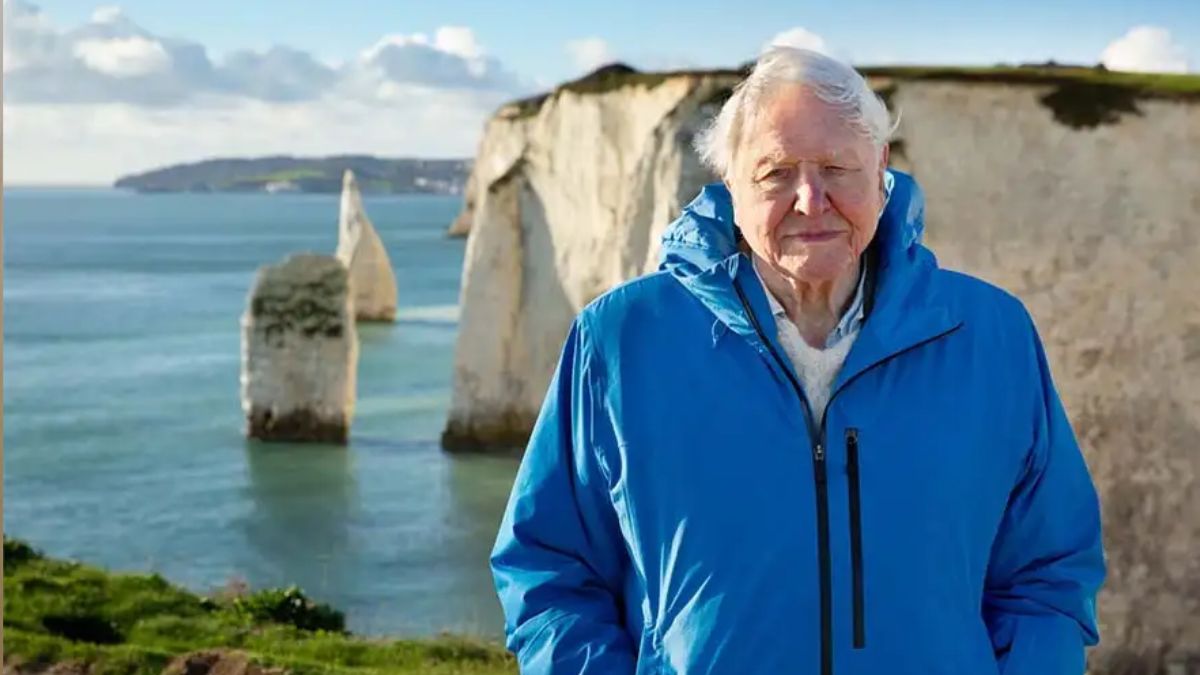 David Attenborough is back with a trailblazing documentary on the Ocean