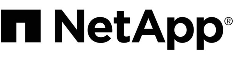 NetApp Accelerates VMware Migrations with Amazon Elastic VMware Service Integration