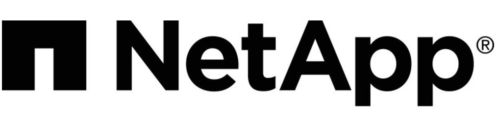 NetApp Accelerates VMware Migrations with Amazon Elastic VMware Service Integration