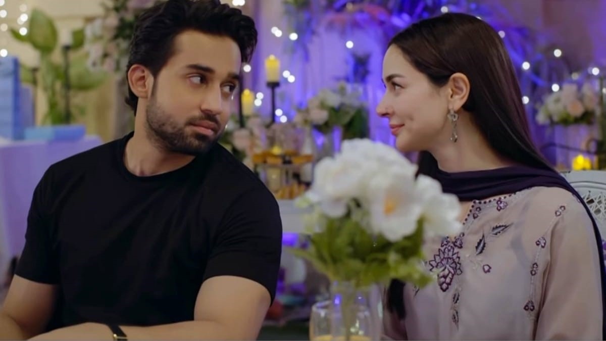 Meri Zindagi Hai Tu: Pakistani Drama Winning Hearts in India — Story, Cast, Episodes And Where To Watch