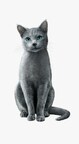 SHEBA®'s 'Ignored to Adored' Campaign Captures What Every Cat Parent Already Knows